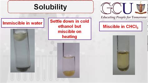 sudan iv test for lipids detergent