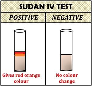 sudan iv test positive result color