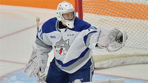 sudbury wolves game live today