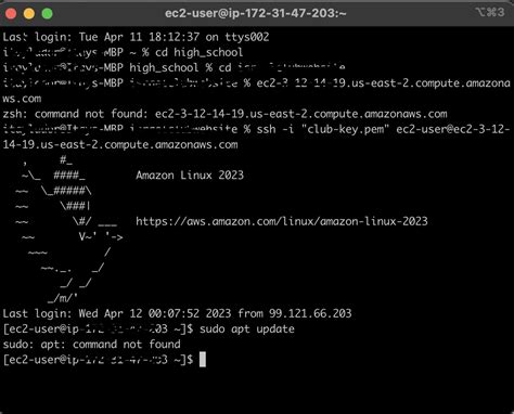 sudo apt command not found amazon linux