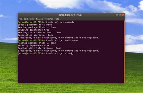 sudo apt get clean command