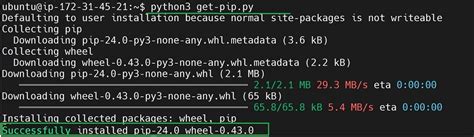 sudo apt get install python3 python3 pip