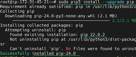 sudo apt get update sudo apt get install python3 python3 venv python3 pip
