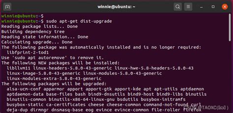 sudo apt get update-plus dist-upgrade