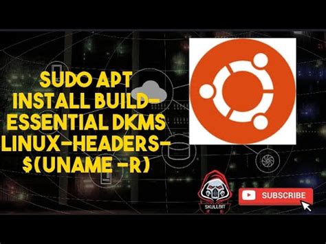 sudo apt install build-essential dkms linux-headers-$(uname-r)