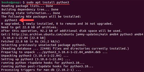 sudo apt install python3