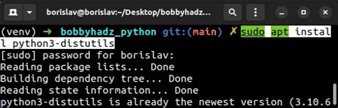 sudo apt install python3 10 distutils