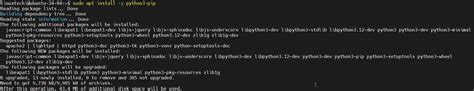 sudo apt install python3-pip ubuntu 24.04