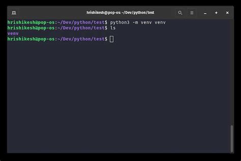 sudo apt install python3.10-venv