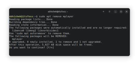 sudo apt remove command