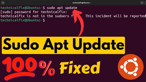 sudo apt update not working wsl2