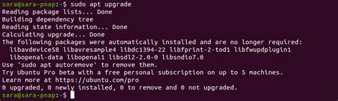 sudo apt upgrade command in linux
