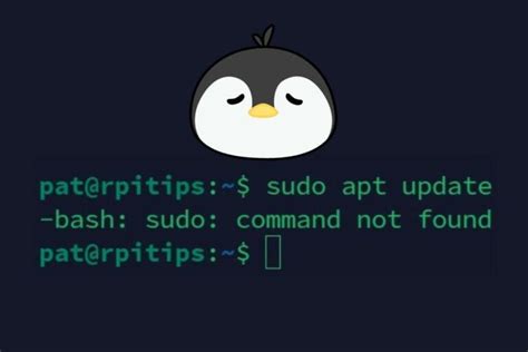 sudo command not found proxmox