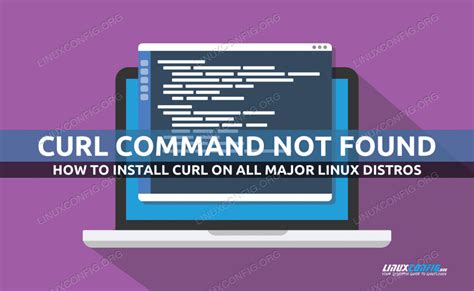 sudo curl command not found