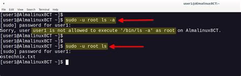 sudo is not allowed to execute '/ bin bash as root on