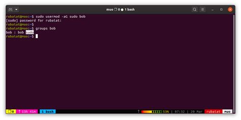 sudo list users