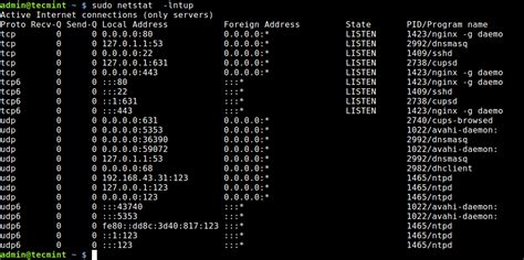 sudo netstat -tulpn grep :80