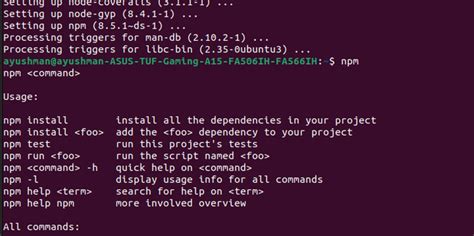 sudo npm command not found in mac