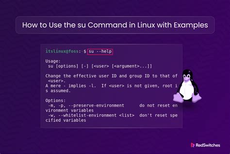 sudo su - user command example