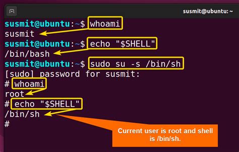 sudo su root command example