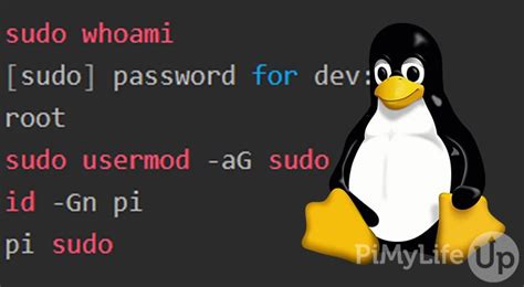 sudo su to user