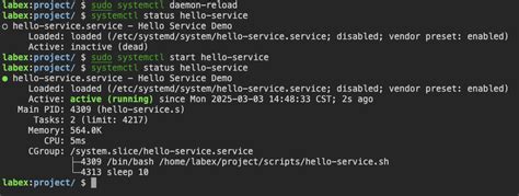 sudo systemctl daemon reload mac