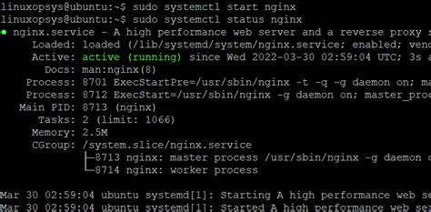 sudo systemctl restart nginx not working