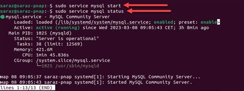 sudo systemctl start mysql service not working