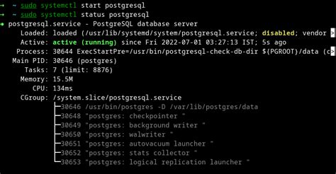 sudo systemctl start postgresql service