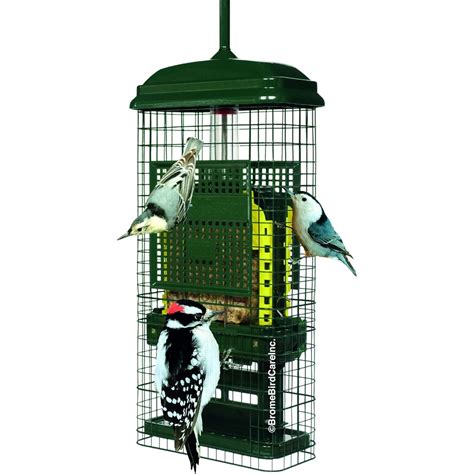 Suet 2 Cake Feeder