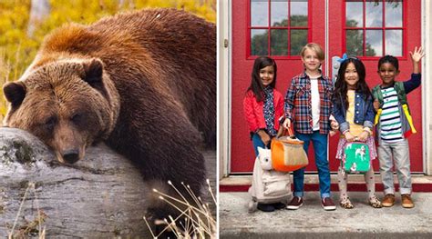 suffer colligate to Your Learning Community