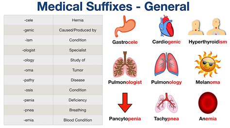suffixes medical terminology