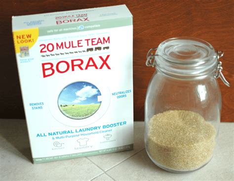 Borax Mixture To Kill Ants Blanjanesia