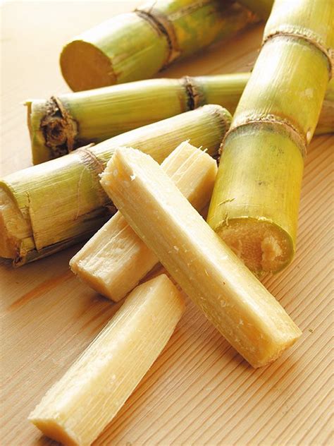 Sugar Cane Cooking
