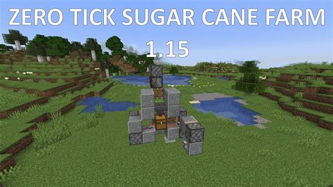 Sugar Cane Zero Tick Farm