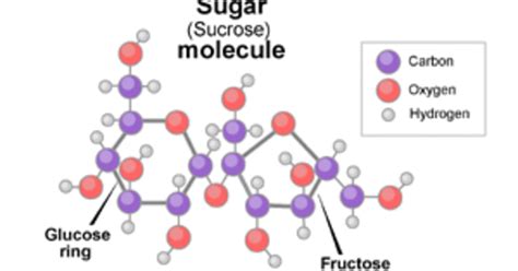 Sugar Definition Short
