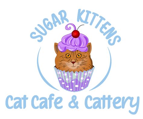 sugar kittens cat cafe