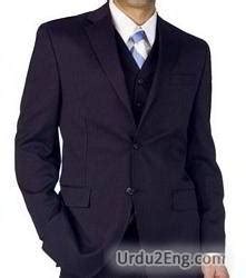 suit meaning in urdu with example