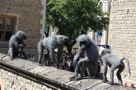 Suitcase Monkey London