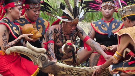 Gambar Pakaian Adat Papua Barat cabai