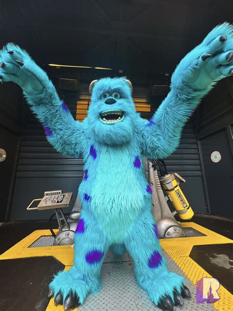 sulley twitter
