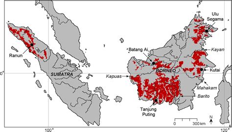 sumatran orangutan habitat map