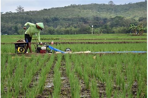 sumber daya pertanian indonesia