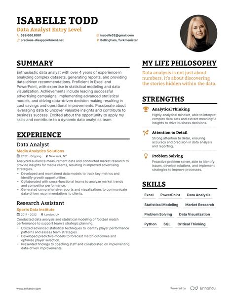 summary for entry level data analyst