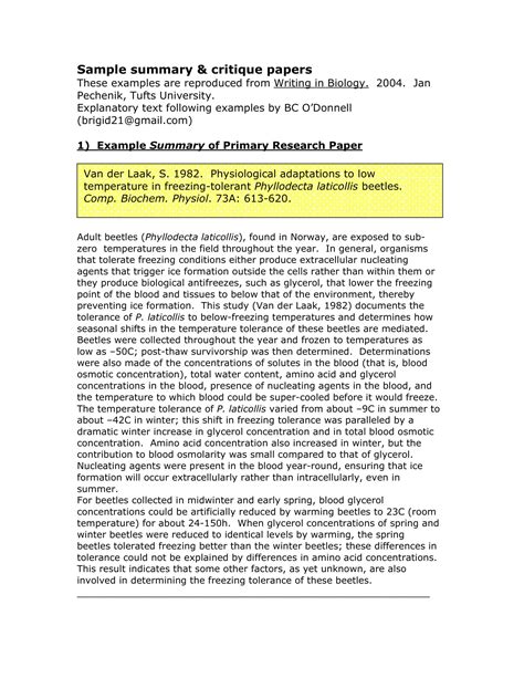 summary text example