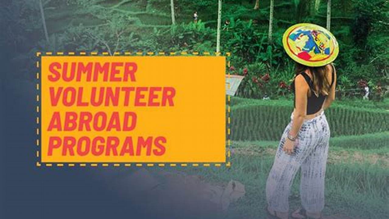 Summer Volunteering: A Meaningful Way to Spend Your Break