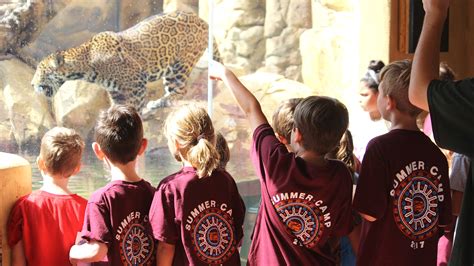 summer camps at the zoo