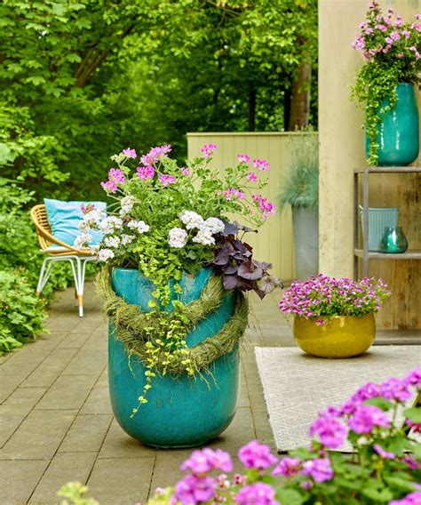 summer container planting