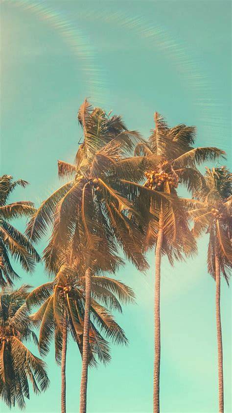 Reminiscing Summer With 26 Sunny iPhone Xs Wallpapers Preppy Wallpapers