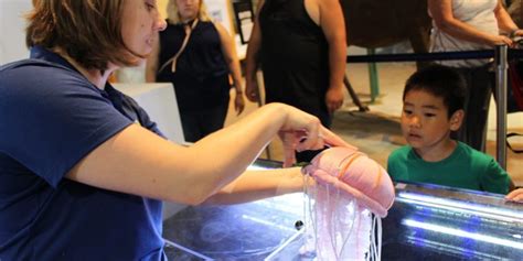 summer jobs baltimore aquarium